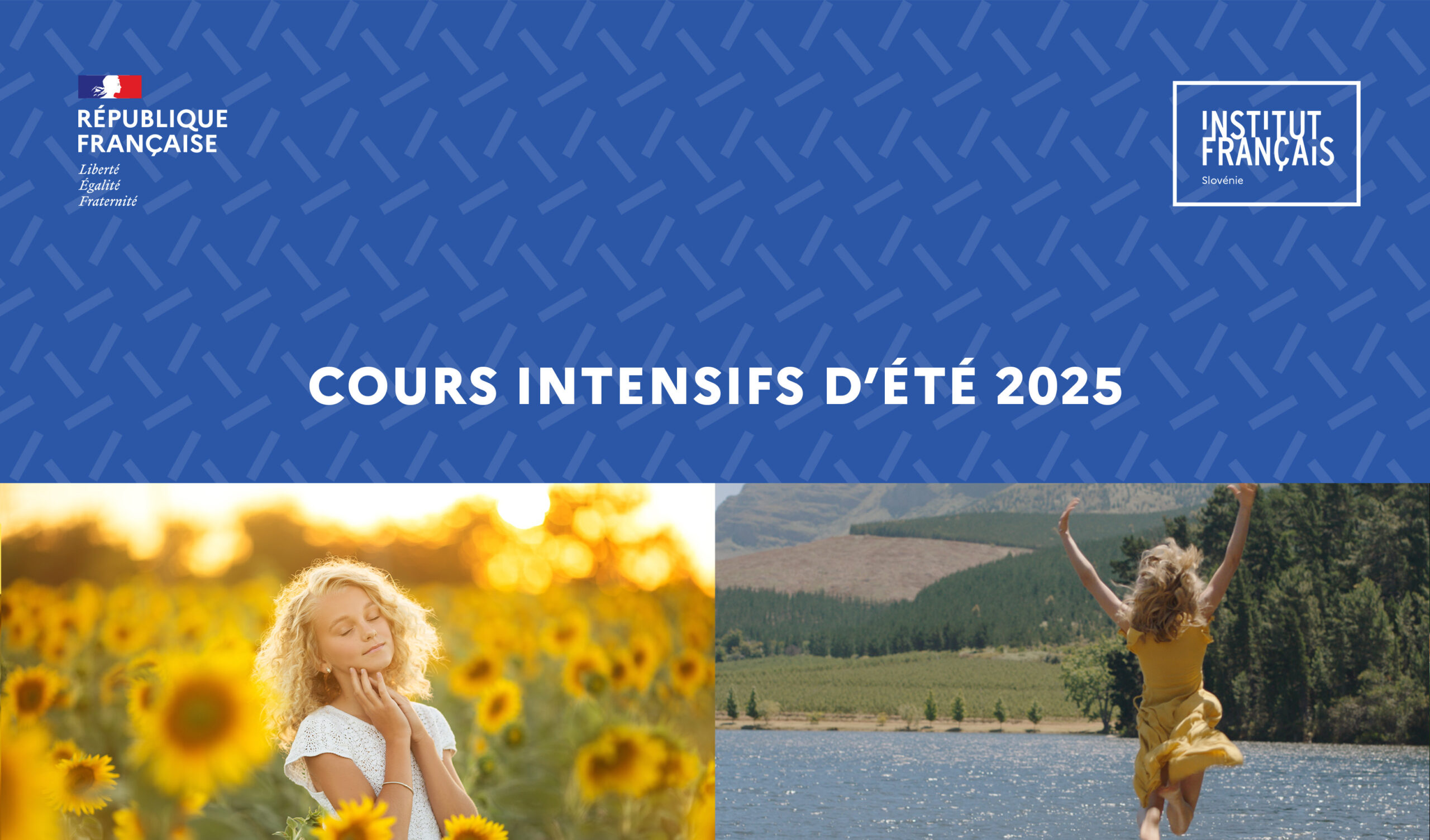 Glavica za prijavnico FRA